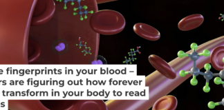 Figuring out which PFAS types are accumulating in your body is challenging. Love Employee/iStock via Getty Images Plus